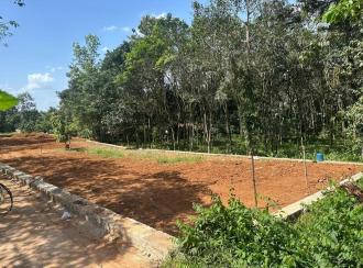 Residential Land for SaleKottayam, Manarcadu, Manarcadu