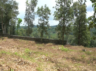 Agricultural Land for Sale in Pathanamthitta, Thiruvalla, Vennikulam