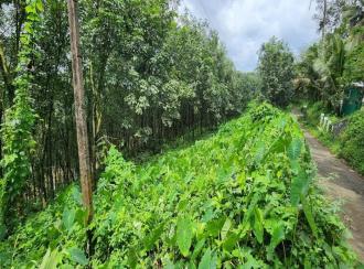 Agricultural Land for SaleKottayam, Kanjirapally, Vizhikkithodu