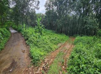 Agricultural Land for Sale in Kottayam, Kanjirapally, Vizhikkithodu