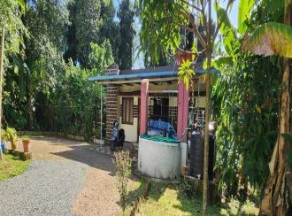 Residential House Villa for Sale in Kottayam, Kottayam town, Pallom