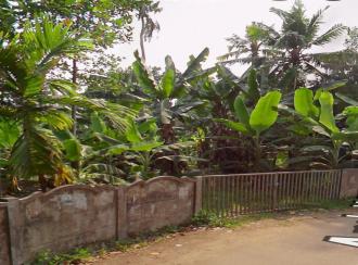 Residential Land for SaleErnakulam, Paravur, North Paravur 