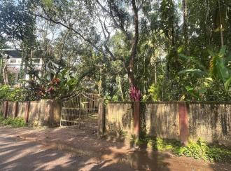 Residential Land for SaleThrissur, Kodungallur, Pullut