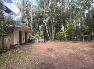 Residential Land for Sale in Thrissur, Kodungallur, Pullut