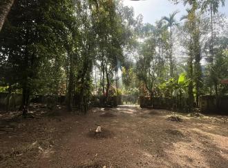 Residential Land for Sale in Thrissur, Kodungallur, Pullut