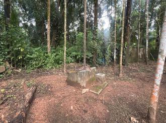 Residential Land for Sale in Thrissur, Kodungallur, Pullut