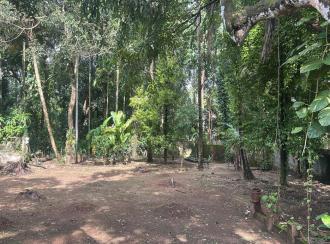 Residential Land for Sale in Thrissur, Kodungallur, Pullut