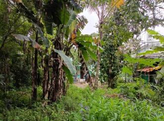 Residential Land for Sale in Thrissur, Irinjalakuda, Aripalam, Aripalam