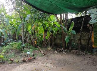 Residential Land for Sale in Thrissur, Irinjalakuda, Aripalam, Aripalam