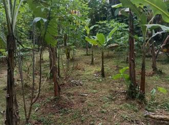 Residential Land for Sale in Kottayam, Changanassery, Ithithanam