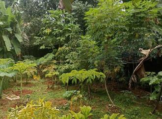 Residential Land for Sale in Kottayam, Changanassery, Ithithanam