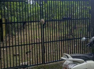 Residential Land for Sale in Kottayam, Changanassery, Ithithanam