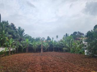 Residential Land for Sale in Pathanamthitta, Thiruvalla, Kumbanad