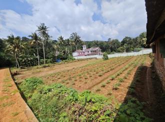 വാണിജ്യ ഭൂമി വില്പനയ്ക്ക് കോട്ടയം, Pampady, Kooroppada