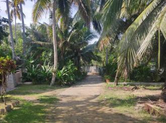 Residential House Villa for Sale in Kollam, Karunagapally, Chavara