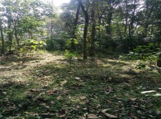 Residential Land for SaleKottayam, Pala, Puliyanoor