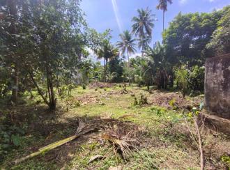 Residential Land for SalePathanamthitta, Kozhencherry, Aranmula
