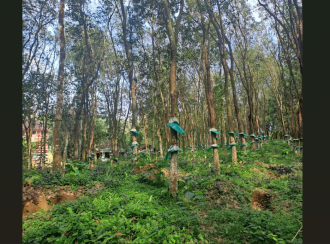 Residential Land, Kottayam