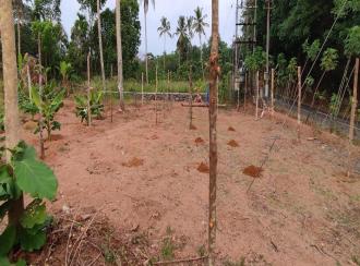 Residential Land, Alleppey
