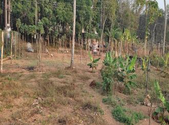 Residential Land for Sale in Alleppey, Nooranad, Nooranad
