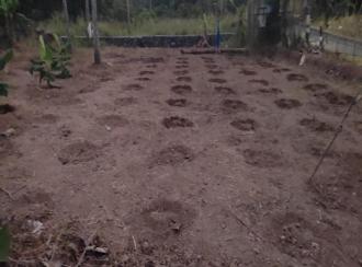 Residential Land for Sale in Alleppey, Nooranad, Nooranad