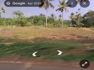 Residential Land for Sale in Alleppey, Nooranad, Nooranad