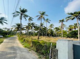Residential Land for SaleThrissur, Guruvayur, Thaikkad