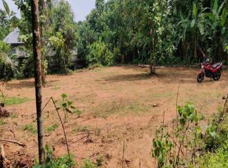 Residential Land for Sale in Ernakulam, Muvattupuzha, Mulavoor