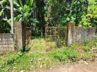 Residential Land, Kottayam