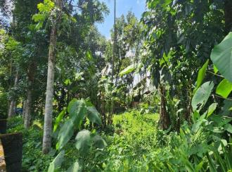 Residential Land for Sale in Kottayam, Changanassery, Changanassery