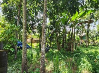 Residential Land for Sale in Kottayam, Changanassery, Changanassery