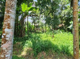 Residential Land for Sale in Kottayam, Changanassery, Changanassery
