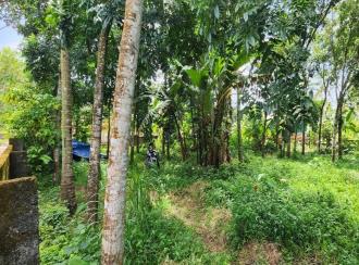 Residential Land for Sale in Kottayam, Changanassery, Changanassery