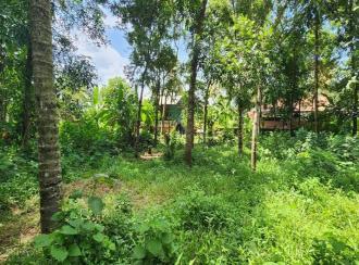 Residential Land for Sale in Kottayam, Changanassery, Changanassery