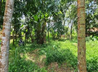 Residential Land for Sale in Kottayam, Changanassery, Changanassery