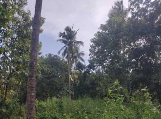 Residential Land for Sale in Kollam, Kollam, Kottiyam
