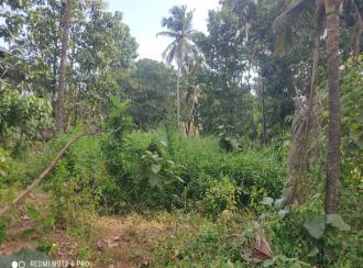Residential Land for Sale in Kollam, Kollam, Kottiyam