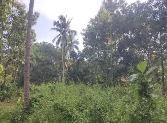 Residential Land for Sale in Kollam, Kollam, Kottiyam