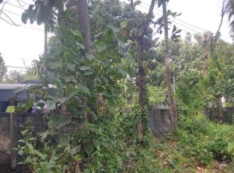 Residential Land for Sale in Kollam, Kollam, Kottiyam