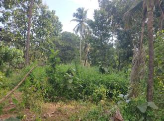 Residential Land for Sale in Kollam, Kollam, Kottiyam