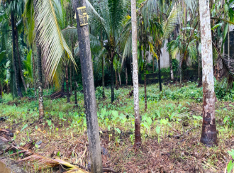 Residential Land for Sale