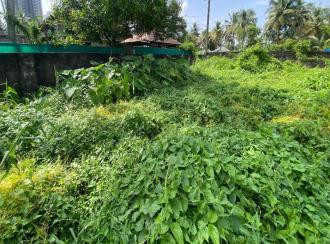 Residential Land for Sale in Ernakulam, Tripunithura, Eroor