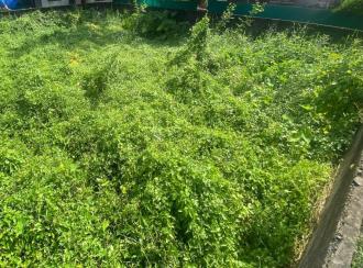 Residential Land for Sale in Ernakulam, Tripunithura, Eroor