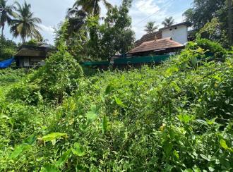 Residential Land for Sale in Ernakulam, Tripunithura, Eroor
