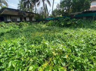 Residential Land for Sale in Ernakulam, Tripunithura, Eroor