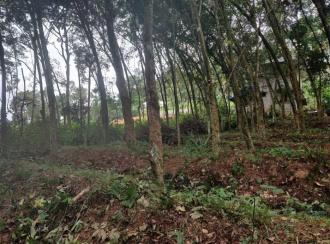 Residential Land for SaleTrivandrum, Nedumangad, Aruvikkara