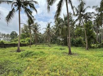 Residential Land for SaleThrissur, Thrissur, Kuttoor