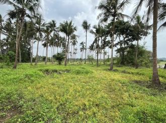 Residential Land for Sale in Thrissur, Thrissur, Kuttoor