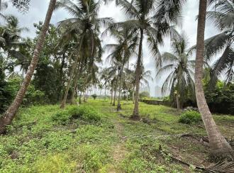 Residential Land for Sale in Thrissur, Thrissur, Kuttoor