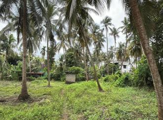 Residential Land for Sale in Thrissur, Thrissur, Kuttoor